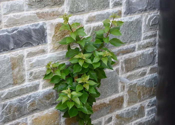 Casa de Férias Skiathos Home Skiathos Town